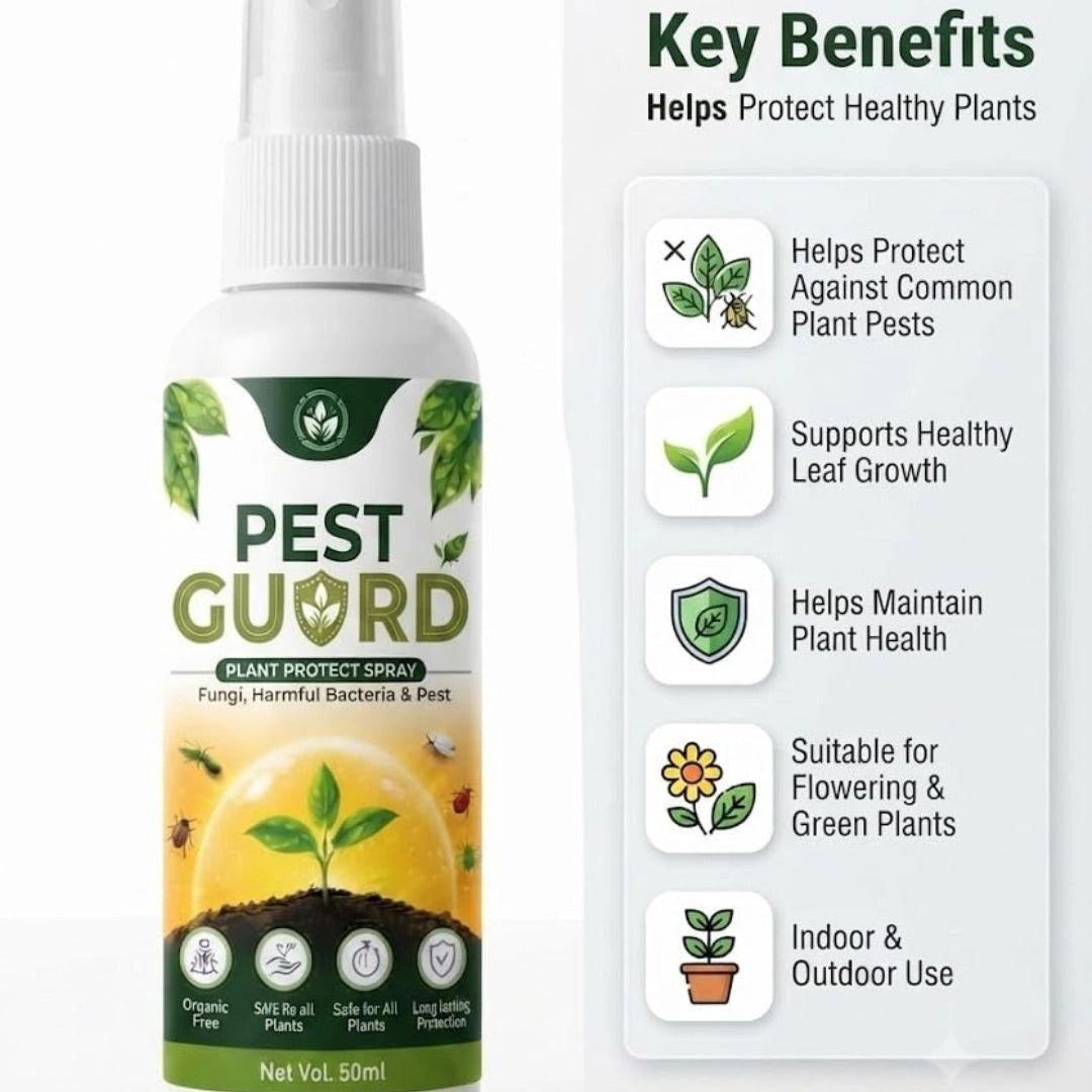 Spraying pest guard on plant leaves
